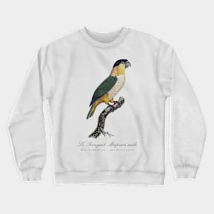 Black-Headed Parrot - 19th century Jacques Barraband Illustration Crewneck Sweatshirt